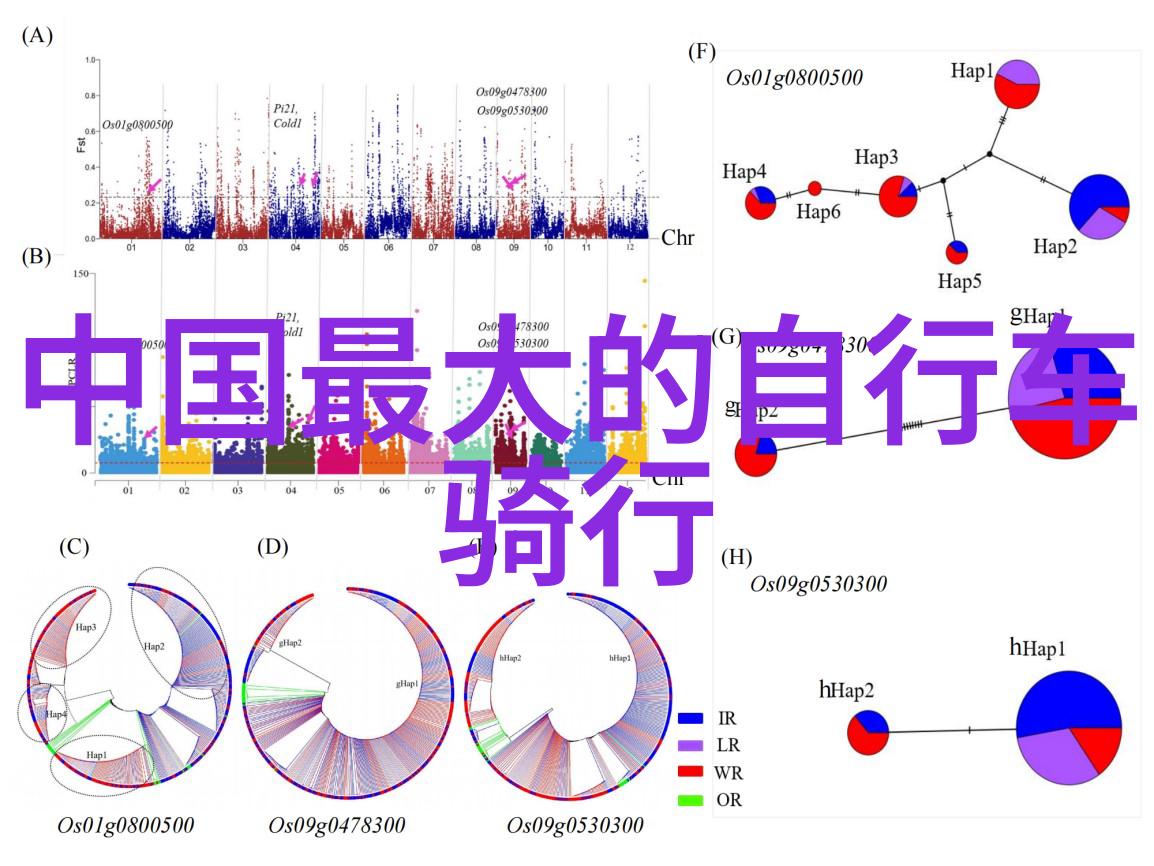 云南省内最佳景点推荐规划你的七日游路线