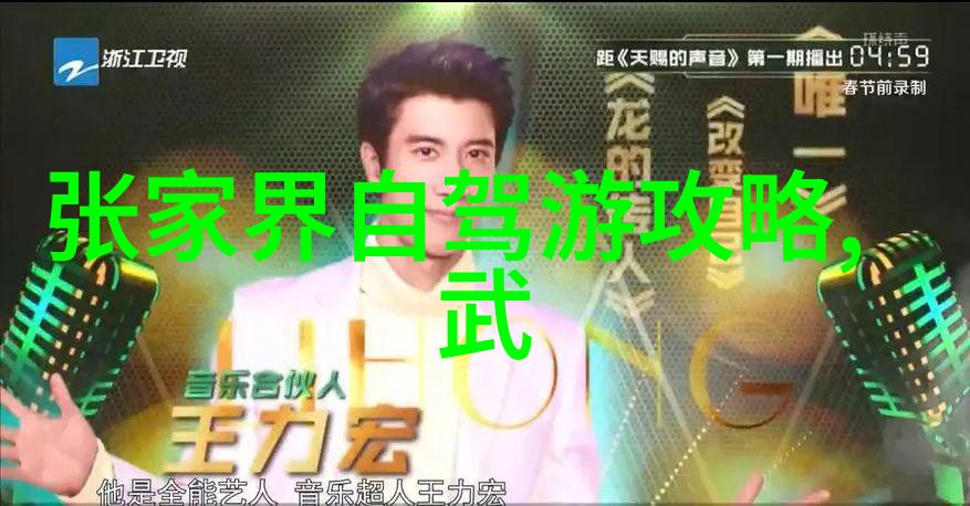 新型年轻人娱乐项目打造未来娱乐盛宴的创新之举