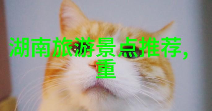 海南岛游探索琼崖美丽风光