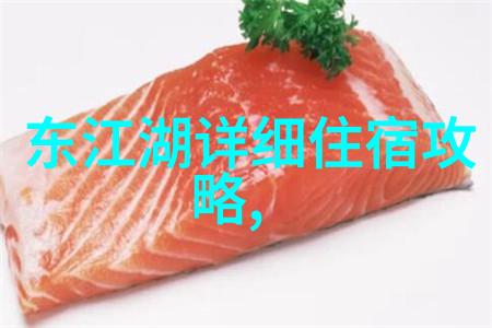 探索奇幻世界什么游记的无尽冒险