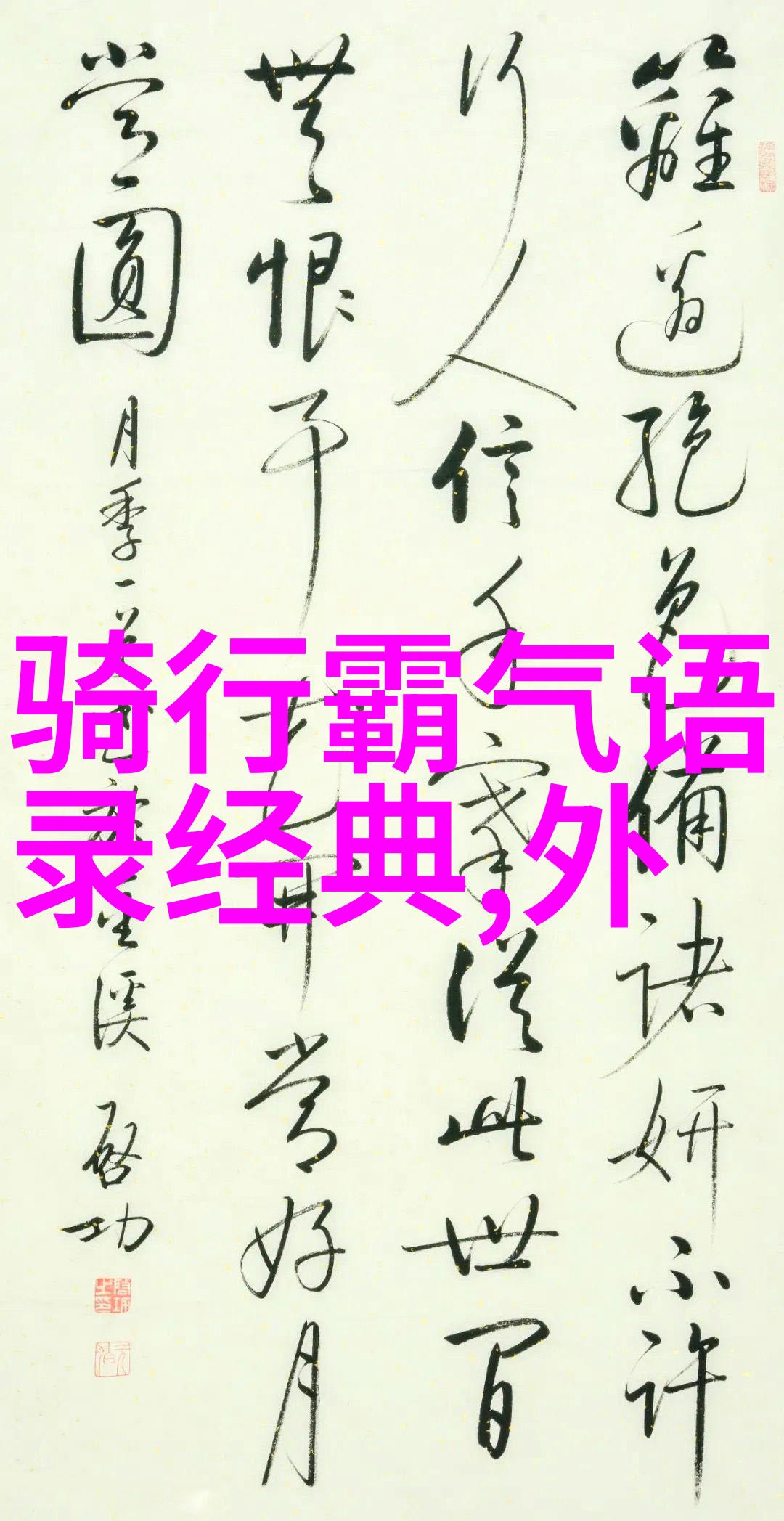 骑行钱与自由的交错