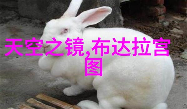青岛的秘密之旅