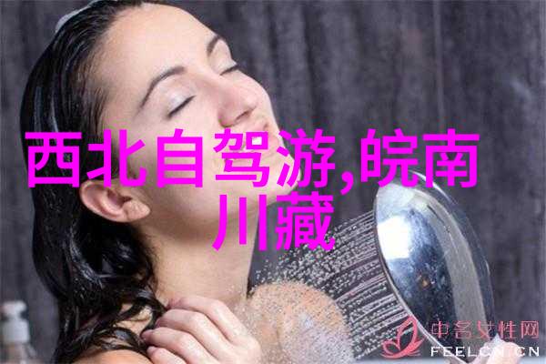 悉尼海滩之最哪个是最佳的冲浪和沙滩体验
