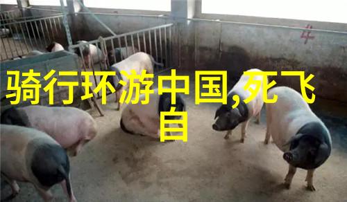 中国美丽山水路线探索国内最美的自然风光