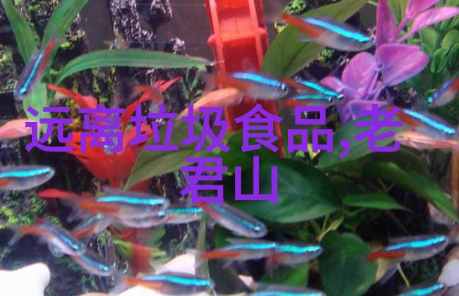 北京到云南旅游团报价 - 云南之旅北京出发的丽江风情与香格里拉梦想行程报价详解
