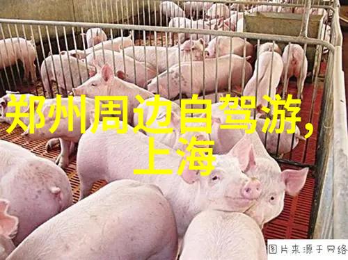 云南旅游路线推荐(自由行)淄博潭溪山之美令人叹为观止