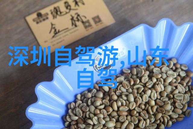 深圳周边自驾游探索珠三角的美丽秘密