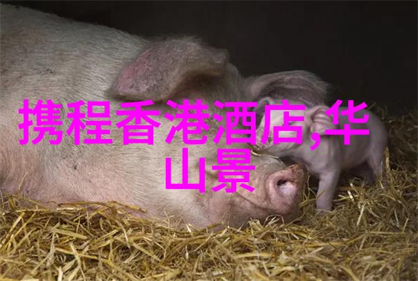 学学习习是快乐的事一起行动起来- 幼儿园户外教育方法分享