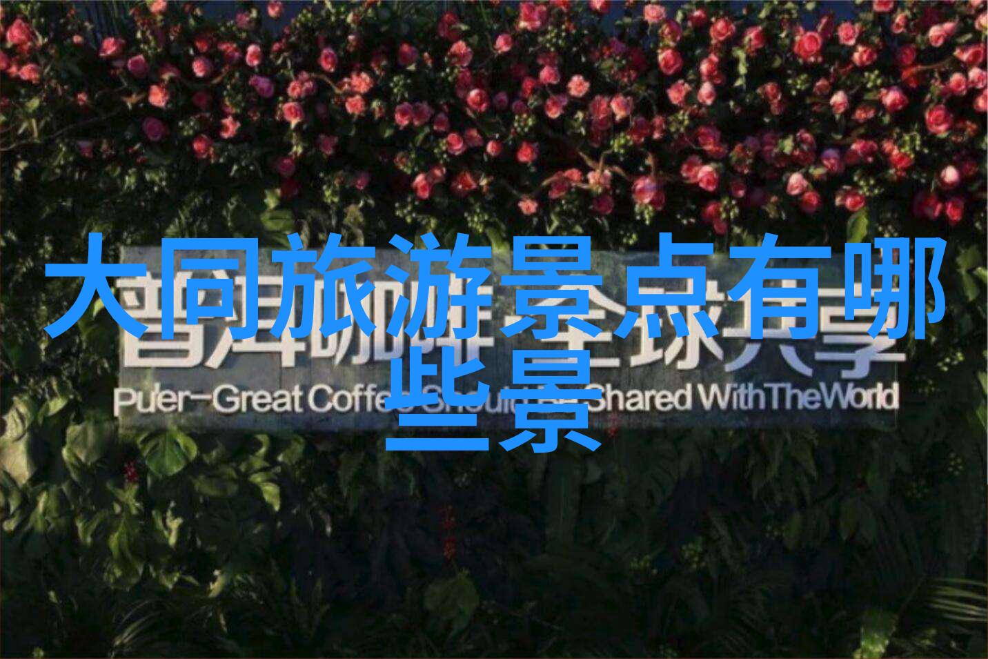绿意盎然追逐野趣与自在之旅