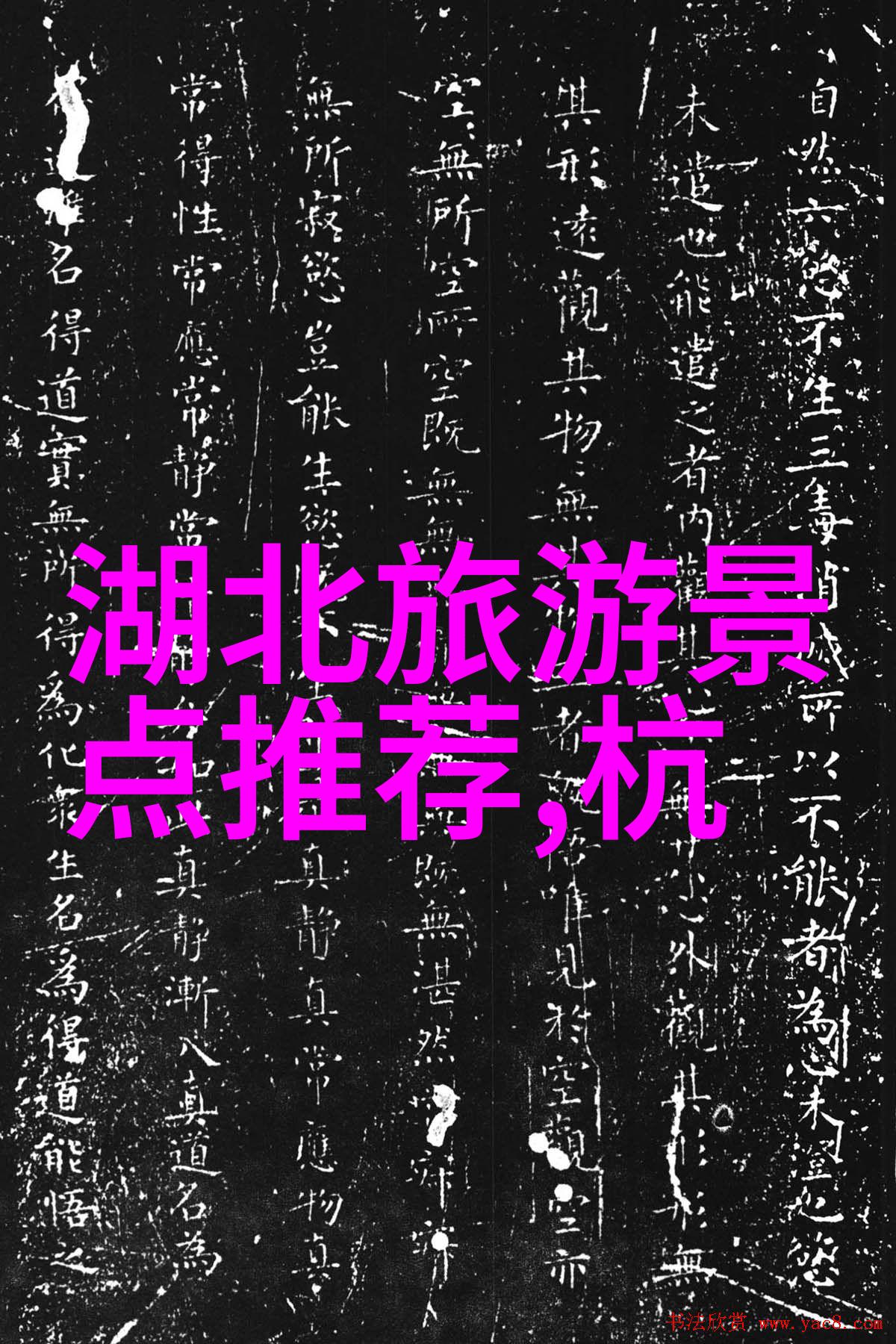 中国旅游数据网上的特色活动推荐有哪些