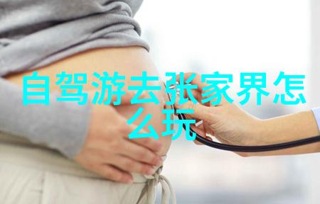全球开放的旅行天堂安全度假目的地指南