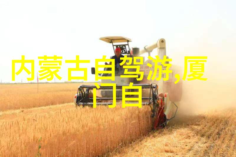金色年华的旅行梦50 60后人的海外探险