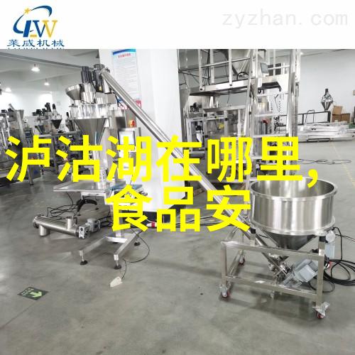 驾车乐趣与安全自驾游购买的保险类型解析
