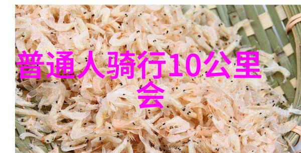 西游记征途读后感慨与探索