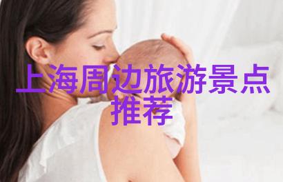 探秘迷雾古树下的热带风情西双版纳旅游必览奇迹