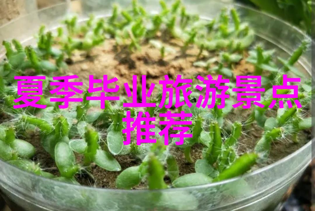 团队协作趣味融合探索完美的团建活动之旅