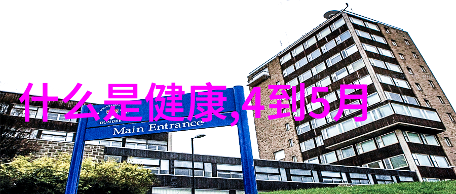 闲置骑行的回声探秘二手自行车旧货市场的秘密世界