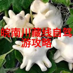 汪采白墓