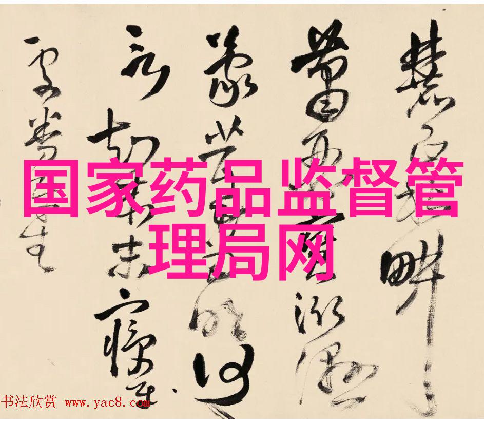 西安必吃美食攻略 - 西安风味大探索尝遍古城美食的精华与秘密