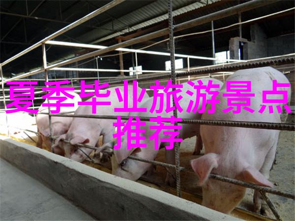 自由行必备策略分享与旅行技巧