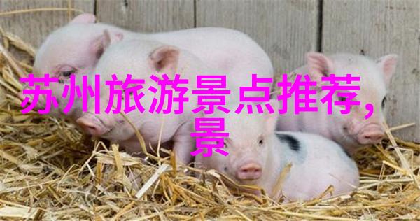 十一国内旅游推荐我来教你这次放假去哪里玩最有感觉