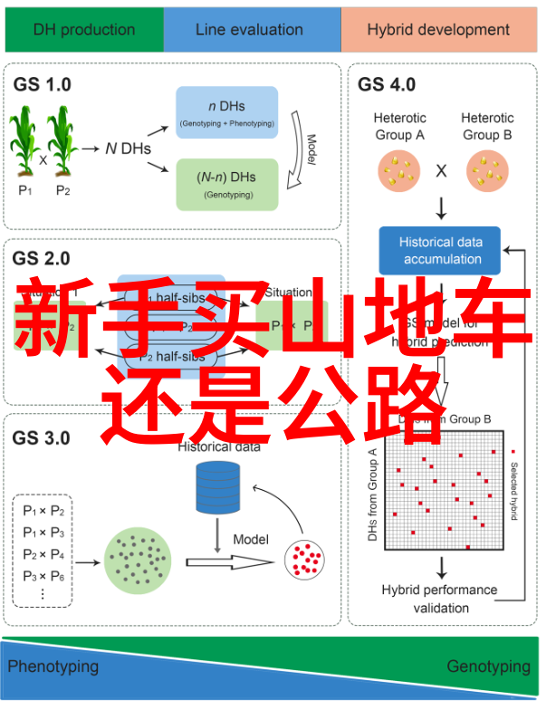 骑行至未知揭秘中国最大的自行车骑行论坛