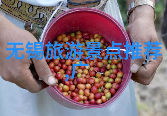 四年级下册74页作文游反复探寻杭州桑葚采摘园的所在追寻水果采摘基地的秘密