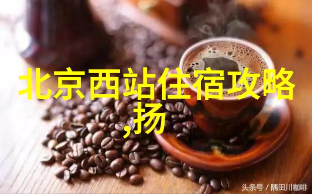游历四海探秘古迹深入浅出地讲述中国的历史文化遗产
