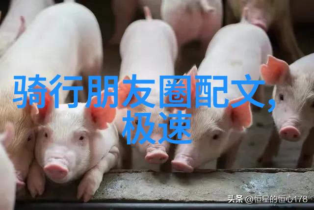 东北夏季旅游攻略探索黑龙江吉林辽宁的绿意盎然自然风光
