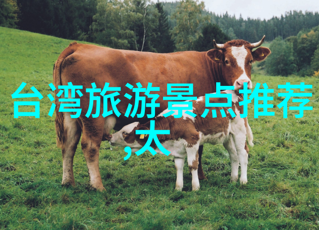 穿越时间的长廊张家界大峡谷的古老故事