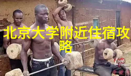 雪域奇缘冬日漫步的神秘之地