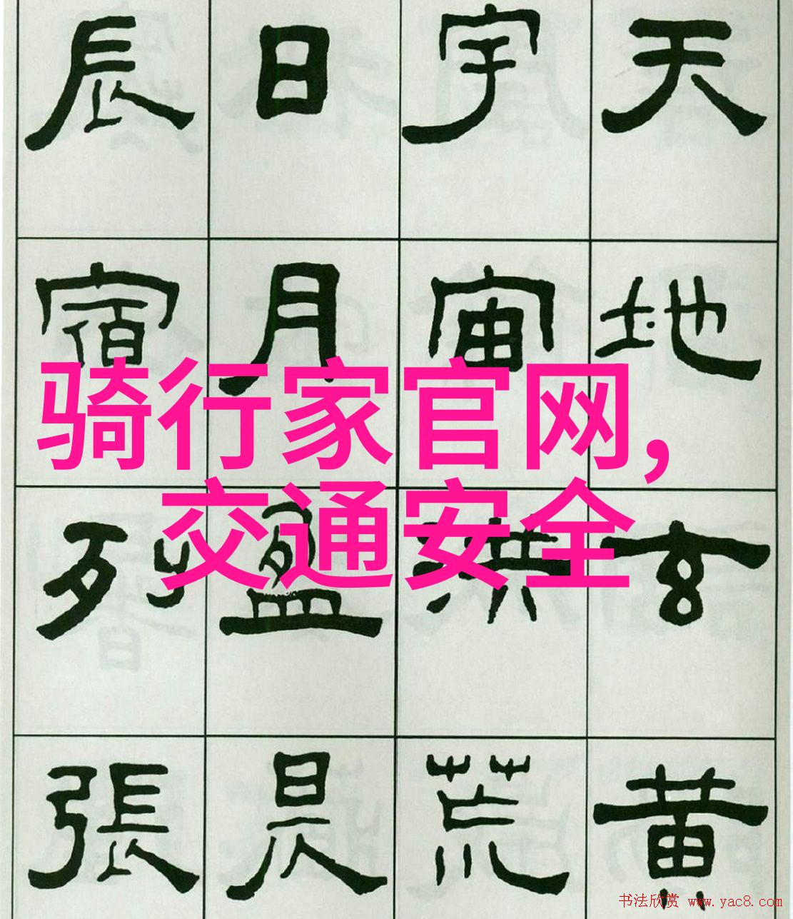 骑行减肥效果评析踏实行动的科学之道