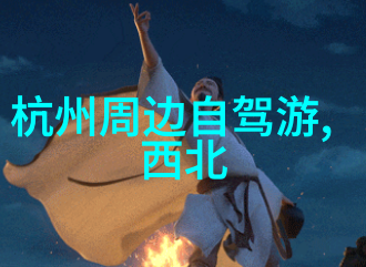 骑行追踪软件比较与选择指南