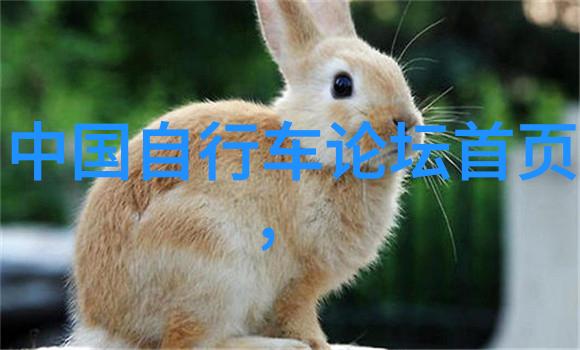 环太湖骑行-绕越碧波的魅力探索中国最美环线之旅