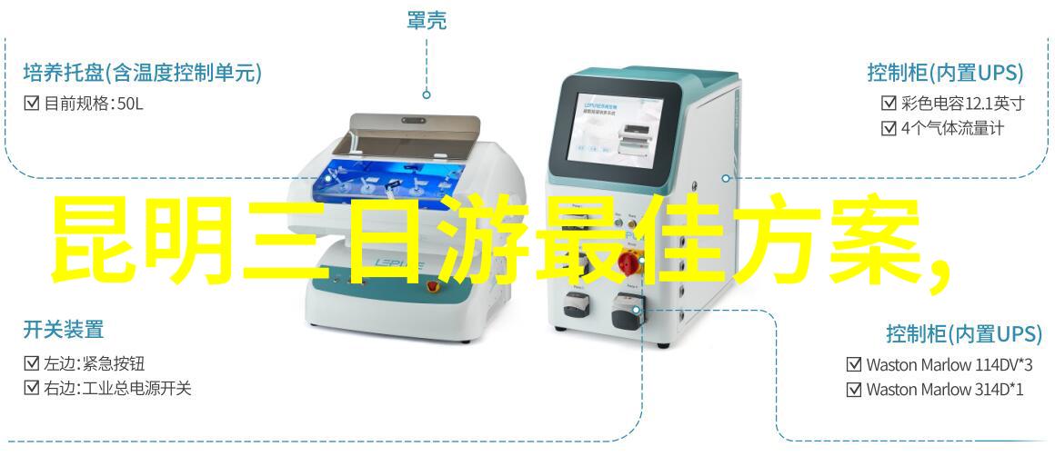 扬州梦游流苏中的居所探秘