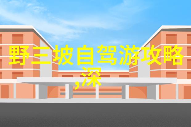 中国的传统节日春节丰富多彩的传统庆祝活动