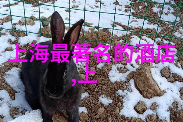 庐山自驾游 - 庐山之巅探秘风景与文化的双重魅力