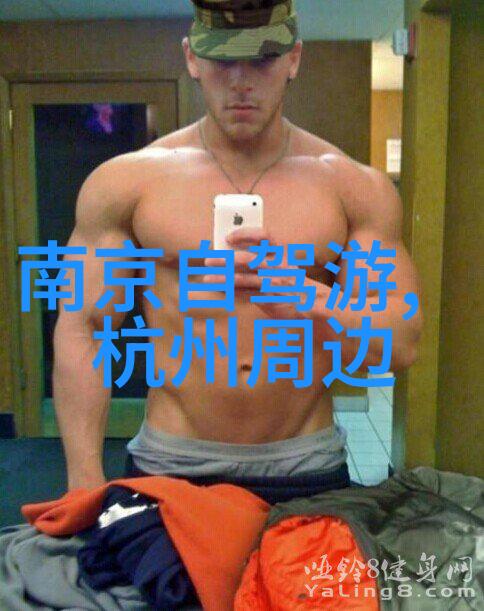 探索自驾游软件哪款应用最能助您顺畅旅行