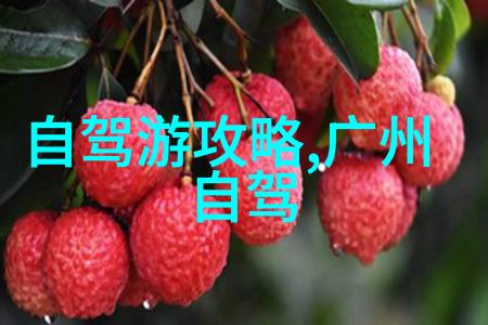 丽江古城时光的守护者