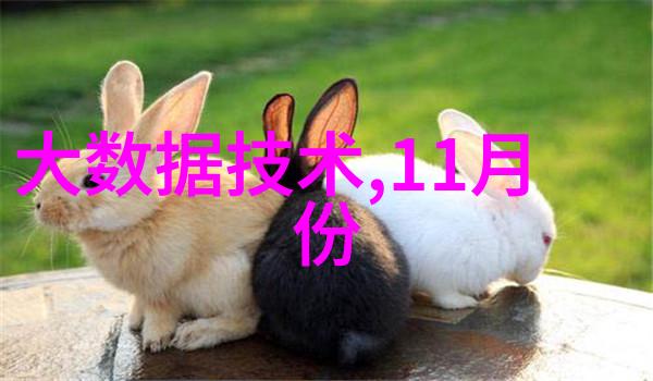 晚临保定探究适宜夜间娱乐场所的现状与潜力
