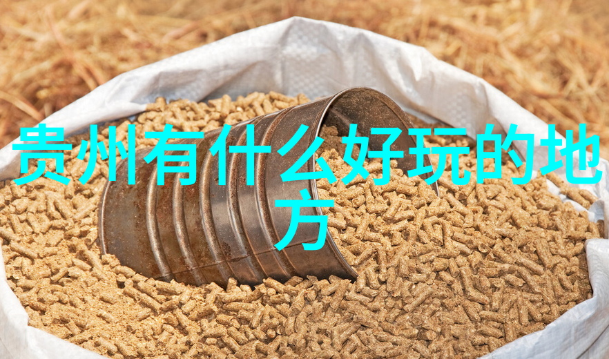 在不同季节里有没有特定的户外休闲运动更受欢迎或推荐