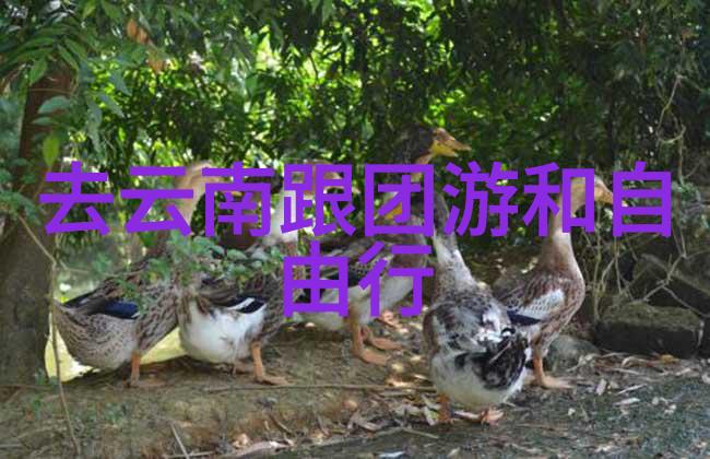 西游记中的火艳铁扇公主唐僧的女儿美丽与武功并重