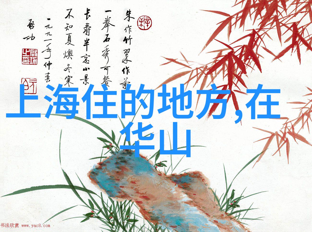 西双版纳文化体验深入了解傣族传统生活