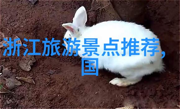 云雾缭绕的张家界自驾探秘跟随脚步领略天边之美