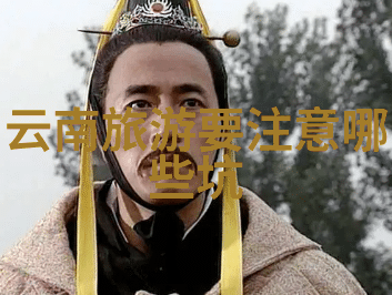 水乡风韵探秘乌镇的迷人魅力