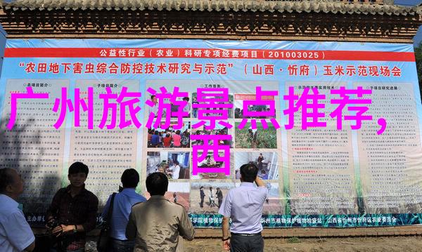 云南旅游卡一级代理樱花谷乐园的绚烂盛开等你来探秘