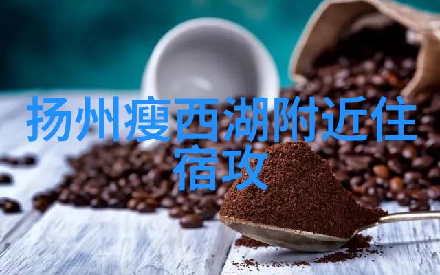 二月春晓寻找最佳避寒旅行目的地