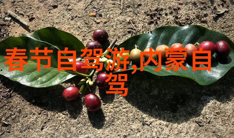 张家界的大风暴云是怎么形成的又是怎样影响周边生态