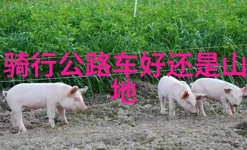 日本亲近相尾换伴结局相互扶持的温馨旅程