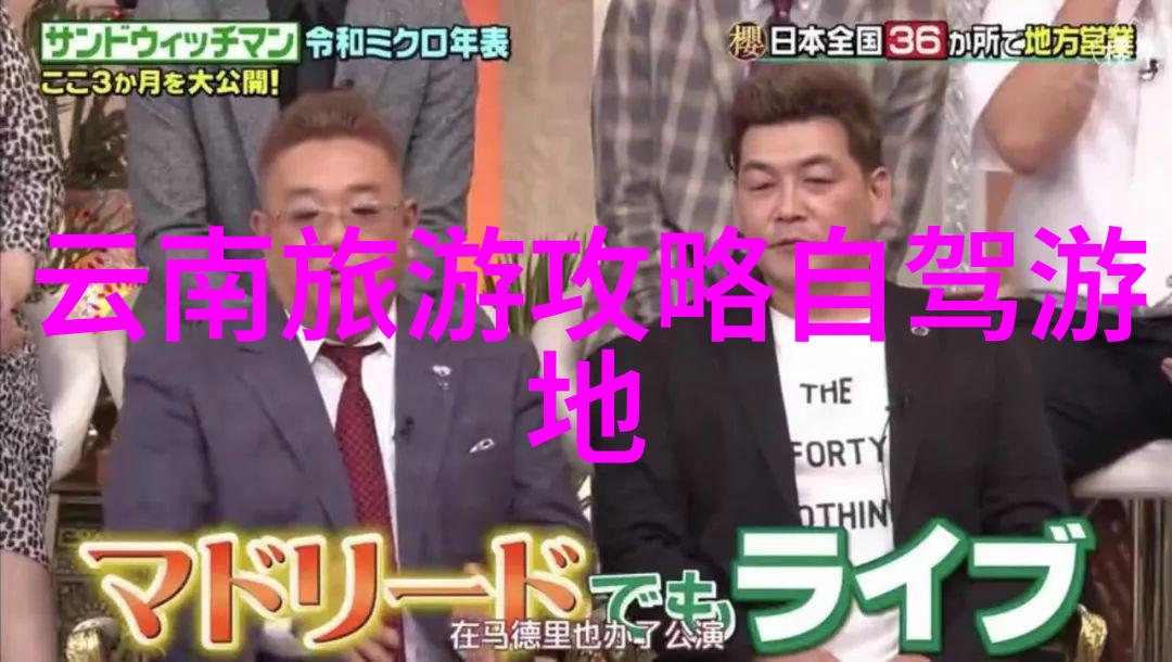 鼓浪屿厦门的艺术之岛与海上生态奇迹